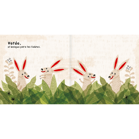 Libros Amanuta Libros de bebé Colores 9789569330131