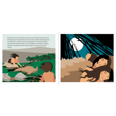 Libros Amanuta Patrimonio y cultura Los delfines del sur del mundo 9789568209254