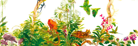 Colección Terra