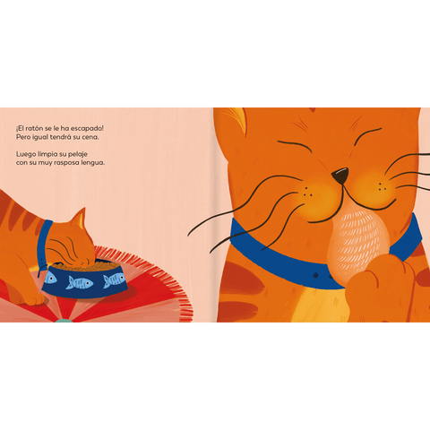 Cosas de gato