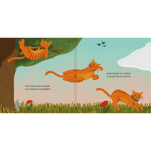 Cosas de gato