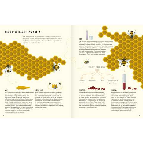 Libros Amanuta Informativo El mundo de las abejas 9789563641226