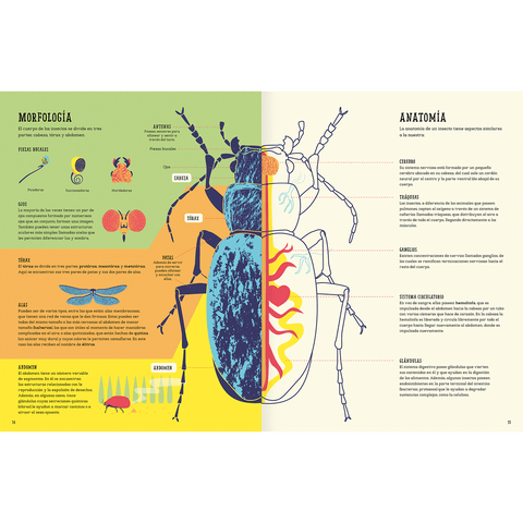 Libros Amanuta Informativo Insectopedia 9789563640540