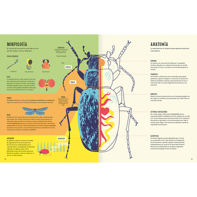 Insectopedia